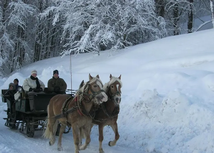 Achenseer Hüttendörfl Hotel 3*