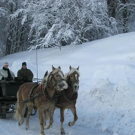 Achenseer Huettendoerfl فندق 3*